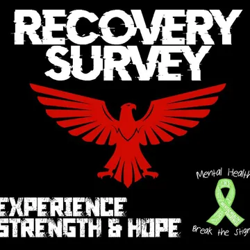 Recovery Survey