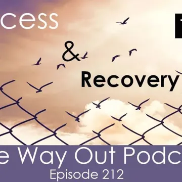 The Way Out | A Sobriety & Recovery Podcast