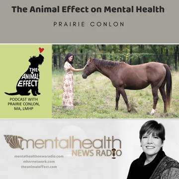 Mental Health News Radio