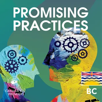 Promising Practices