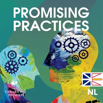 Promising Practices