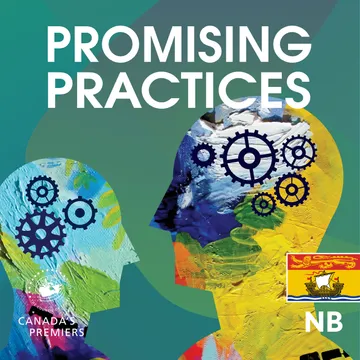 Promising Practices