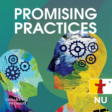 Promising Practices