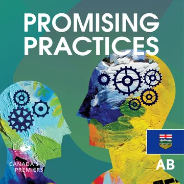 Promising Practices