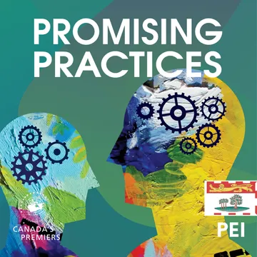 Promising Practices