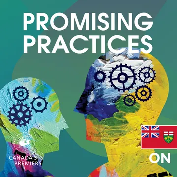 Promising Practices