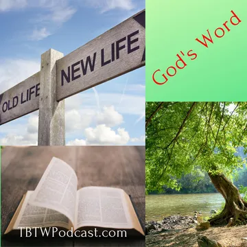 Transformed by the Word with Debora Barr