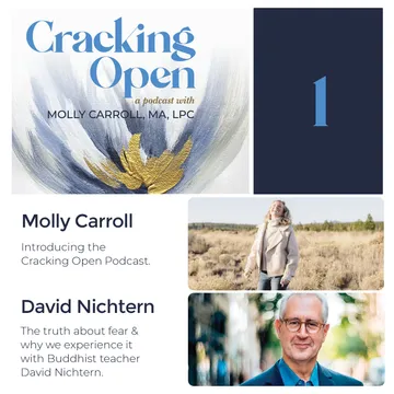 Cracking Open with Molly Carroll