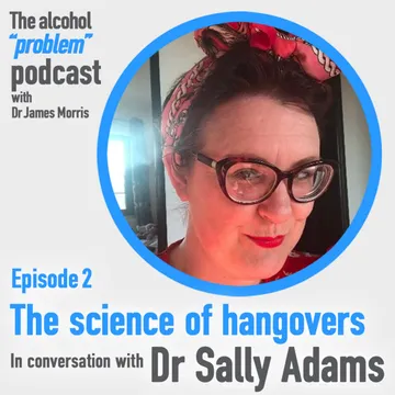 The Alcohol 'Problem' Podcast