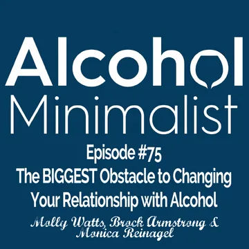 The Alcohol Minimalist Podcast