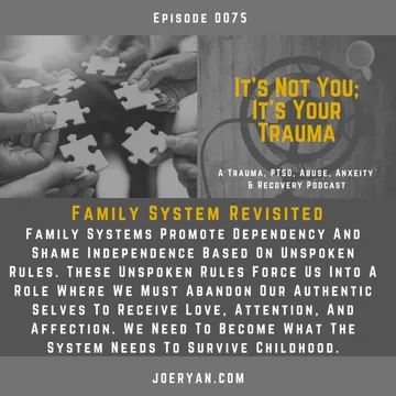 It’s Not You, It’s Your Trauma - Trauma, PTSD, Abuse, Anxiety & Recovery - Joe Ryan