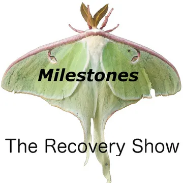 The Recovery Show » Finding serenity through 12 step recovery in Al-Anon – a podcast