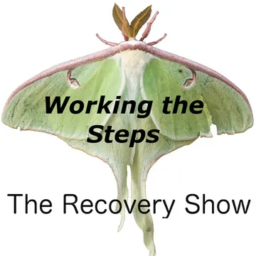 The Recovery Show » Finding serenity through 12 step recovery in Al-Anon – a podcast