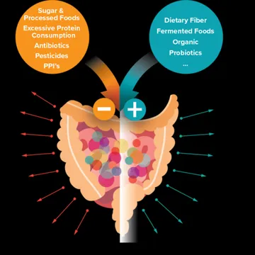 Parkinsons Recovery