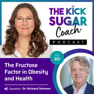 The Kick Sugar Coach Podcast