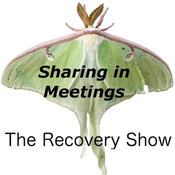 The Recovery Show » Finding serenity through 12 step recovery in Al-Anon – a podcast