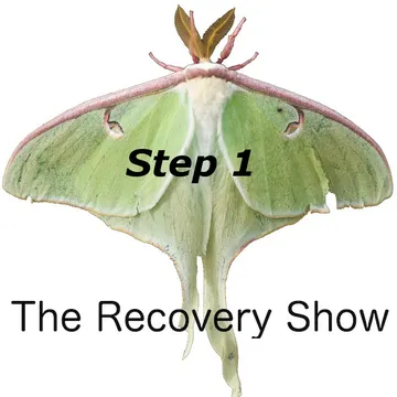 The Recovery Show » Finding serenity through 12 step recovery in Al-Anon – a podcast