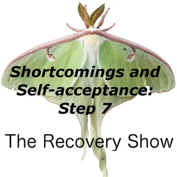 The Recovery Show » Finding serenity through 12 step recovery in Al-Anon – a podcast