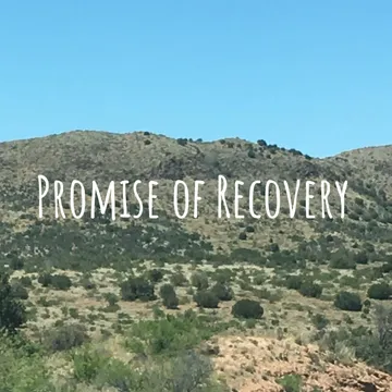 Promise of Recovery